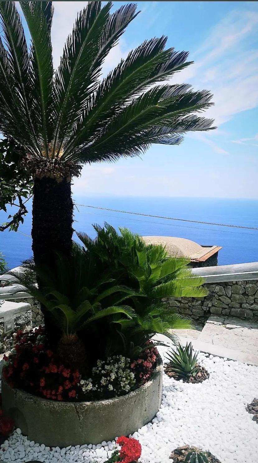 Villa Furoris Apartment Фуроре Екстер'єр фото